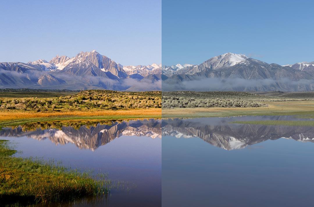Photo Comparison - Film vs Digital