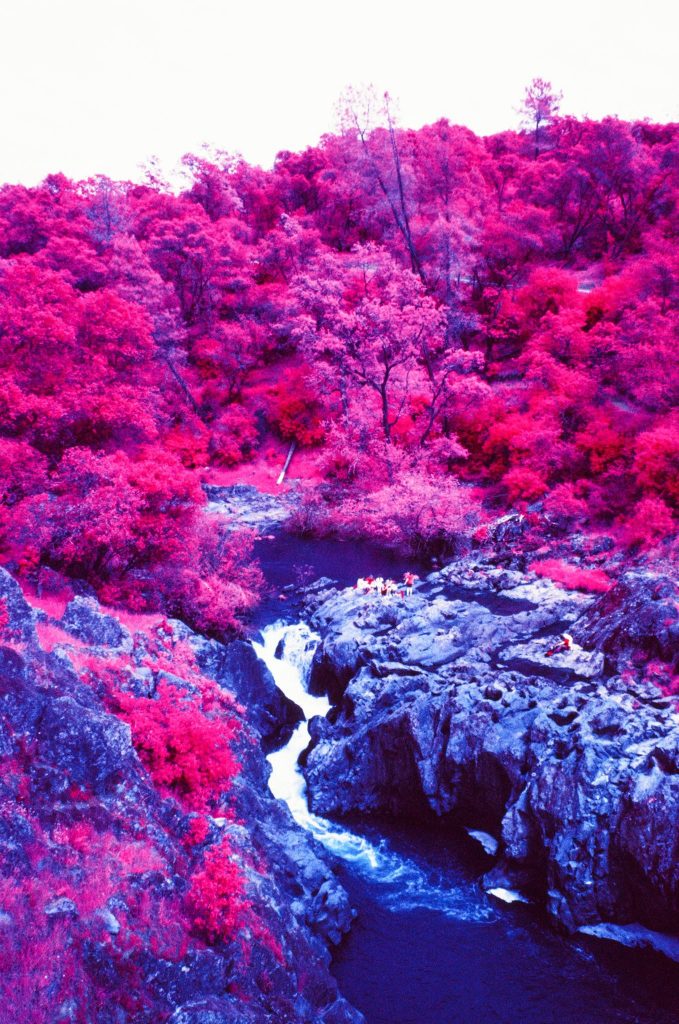 Infrared Film Photo shot with FPP InfraChrome Color Infrared Film and a #12 yellow filter.