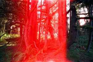 Accidentally exposed film… what does it look like? The Darkroom Lab