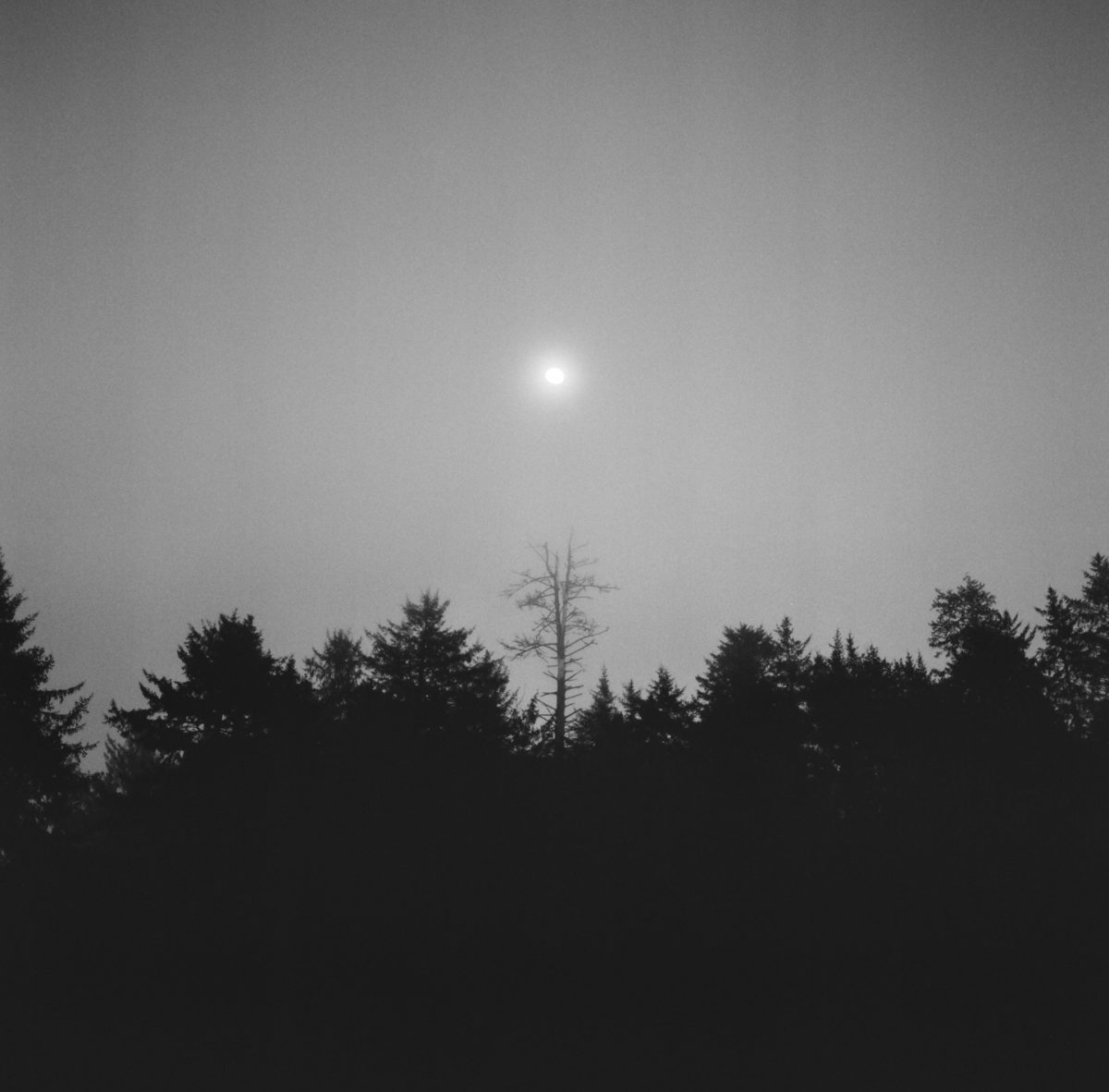 HP5500cm000259140006Edit The Darkroom Photo Lab