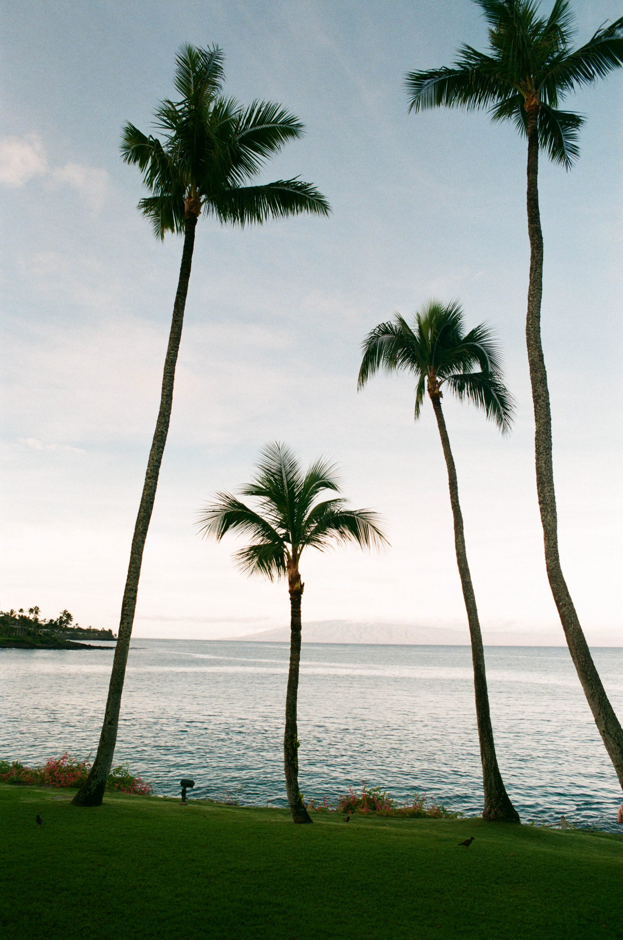 Fujicolor100FM2000474660003 The Darkroom Photo Lab