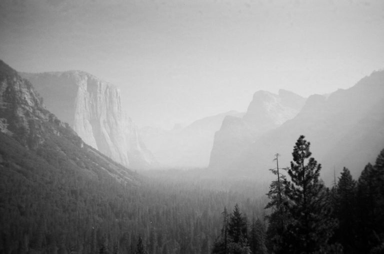 Ilford XP2 single use sample images 000150580012 The Darkroom Photo Lab