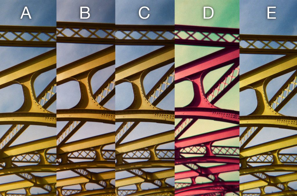 Disposable Cameras Comparison - Bridge