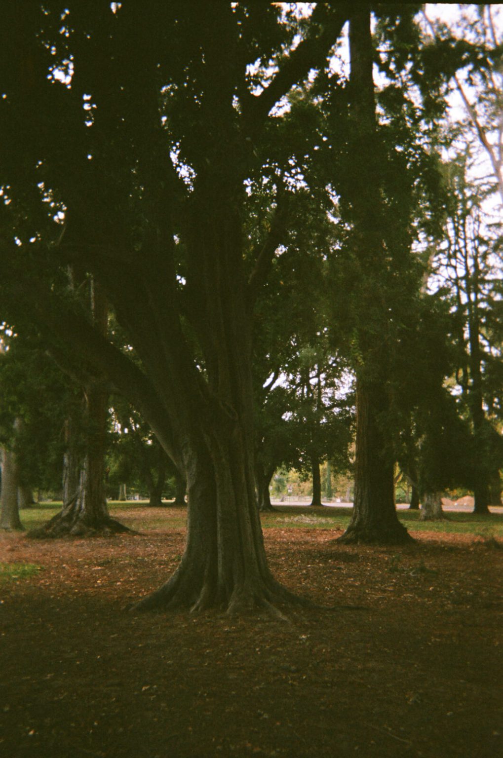 Fujifilm Quick Snap disposable camera reviewed with photo samples The