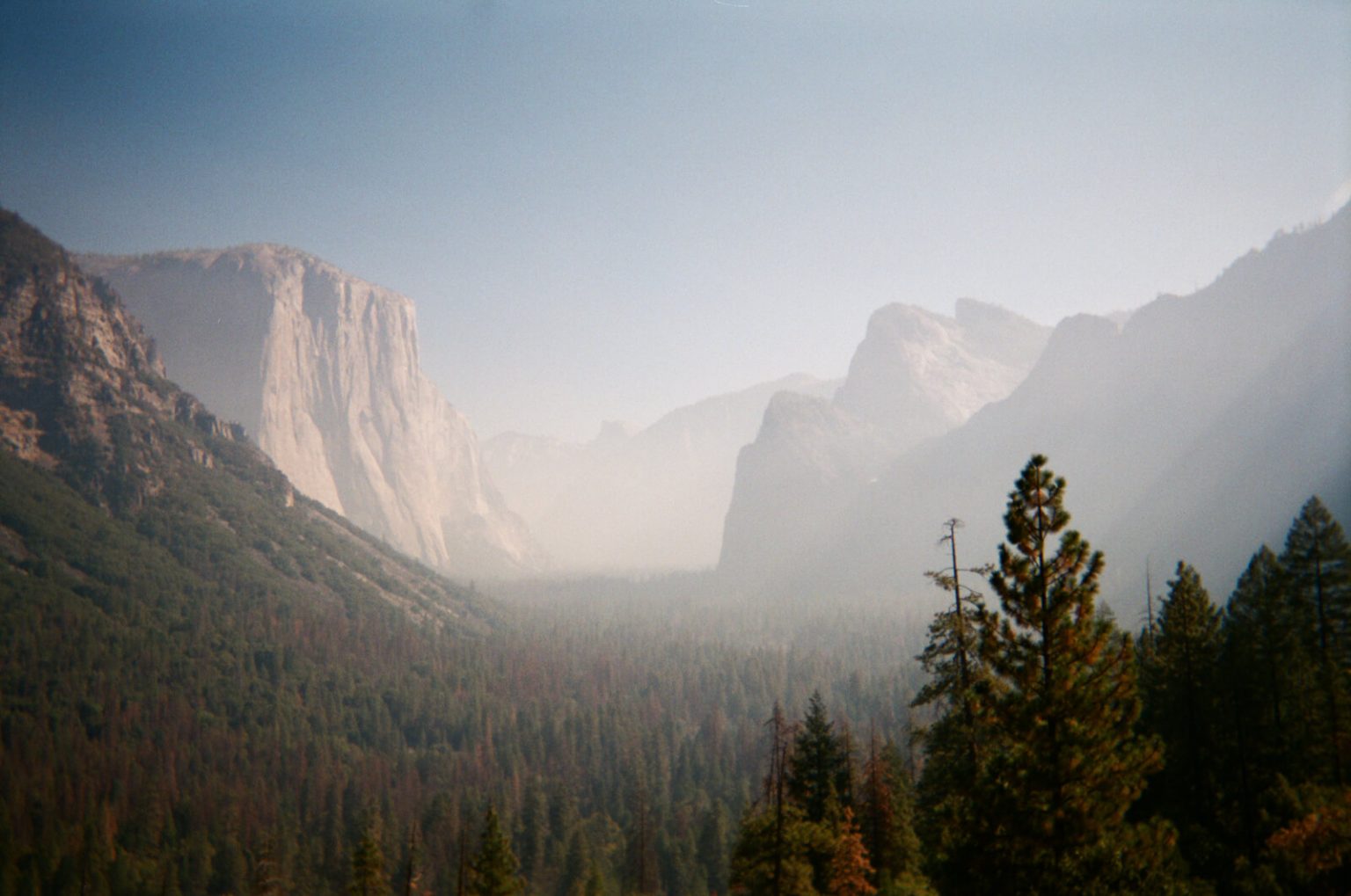 Fujifilm Quick Snap disposable camera reviewed with photo samples The