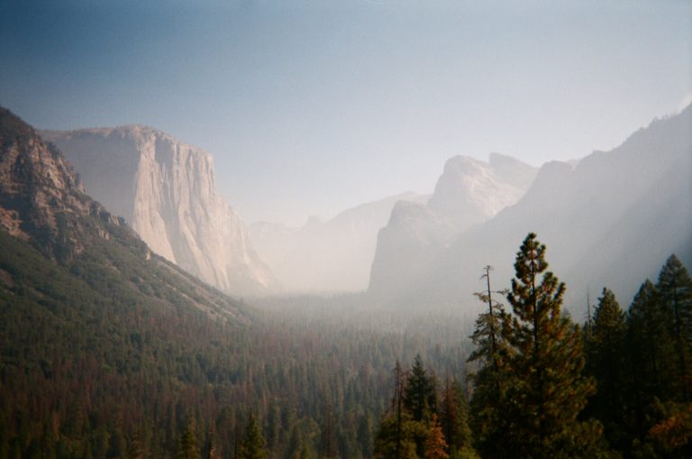 Fujifilm Quick Snap disposable camera reviewed with photo samples The