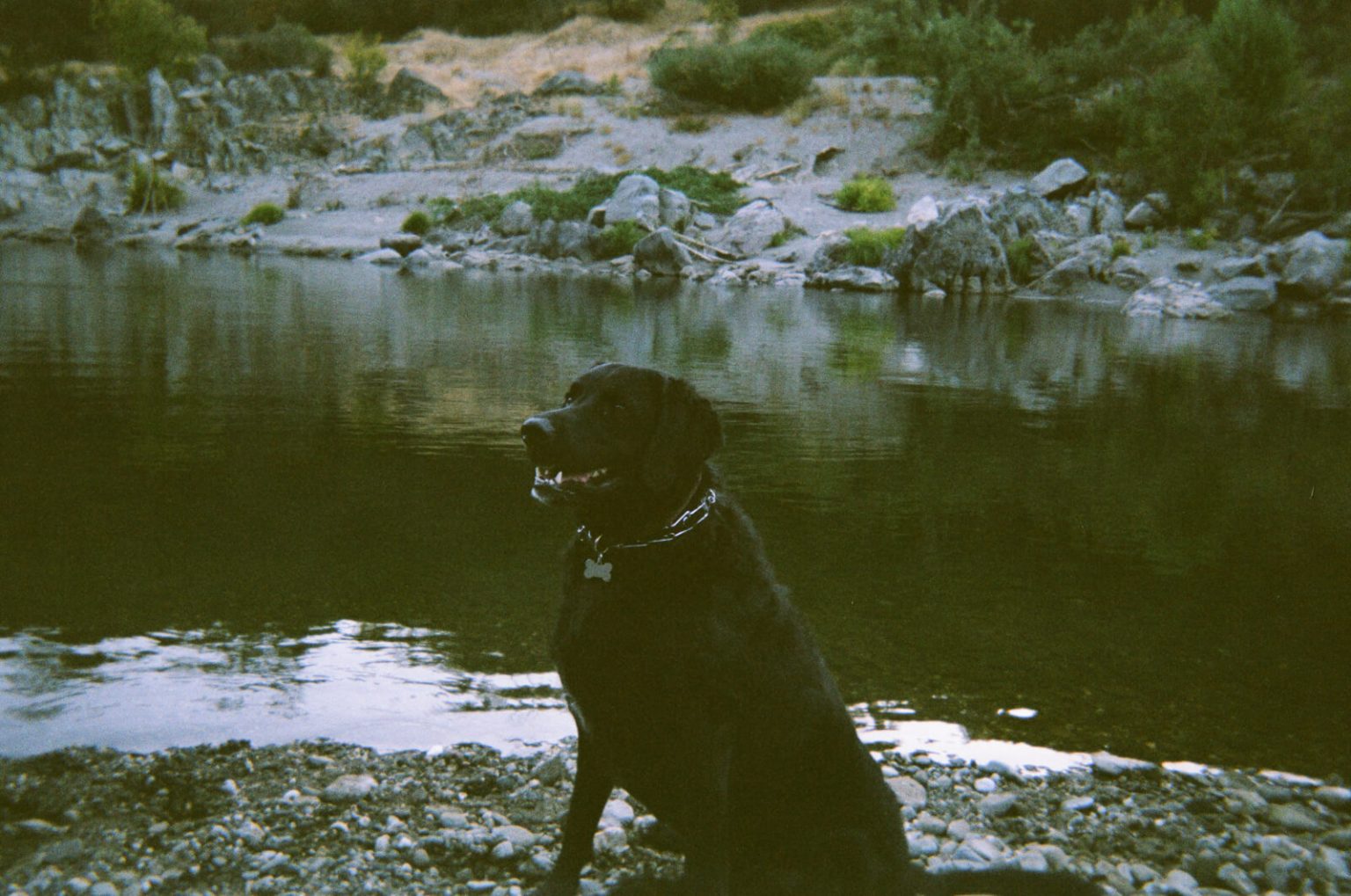 Fujifilm Quick Snap disposable camera reviewed with photo samples The