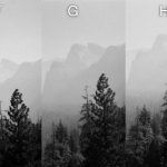 Disposable Single Use Cameras B&W Photo Comparison - Landscape