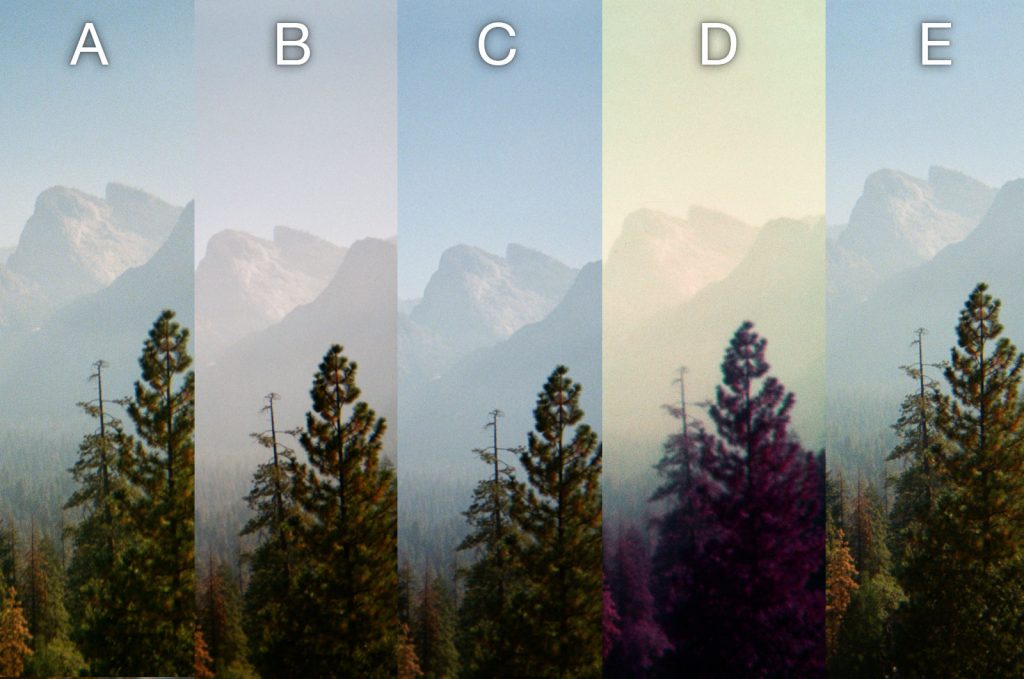 mountains Disposable Cameras comparison