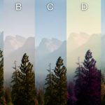 mountains Disposable Cameras comparison