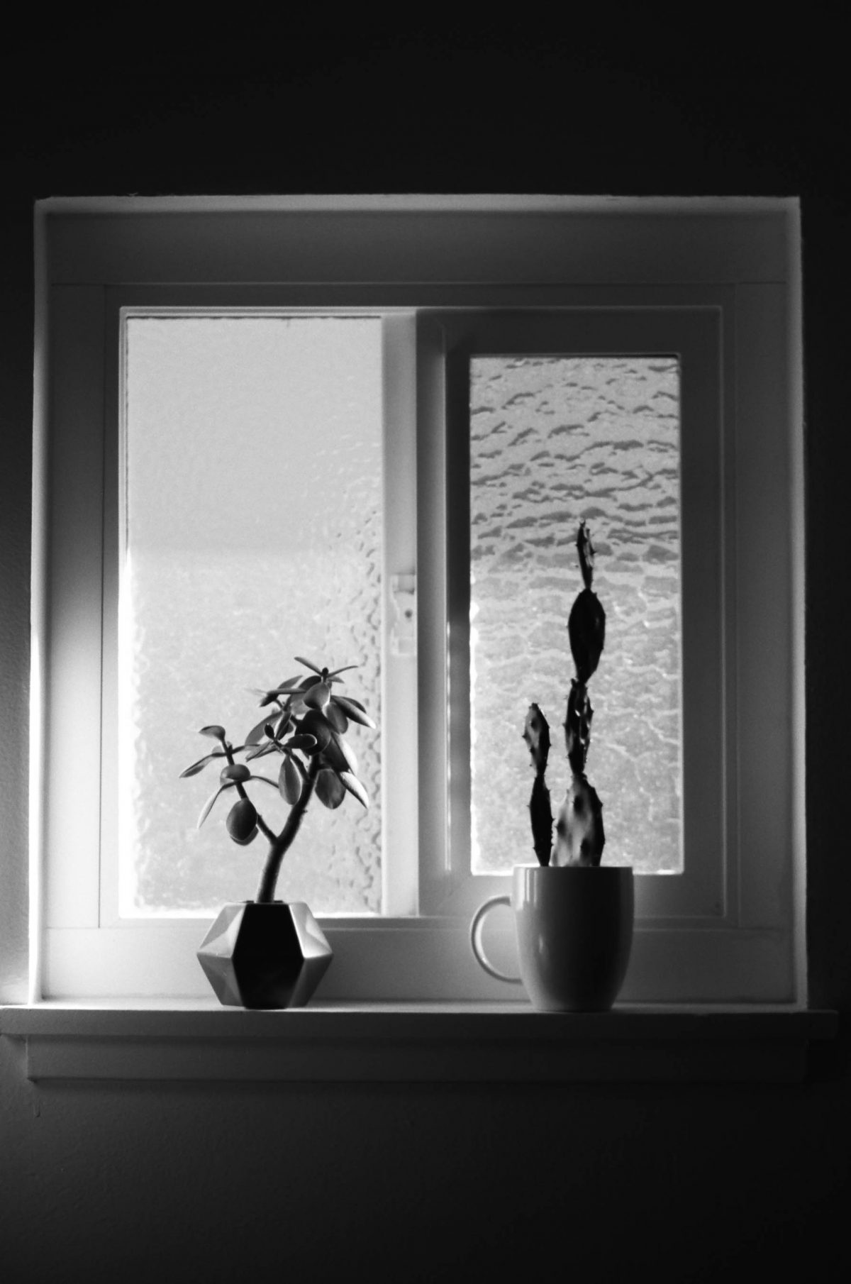 Orthochromatic vs Panchromatic film - A Photo Comparison