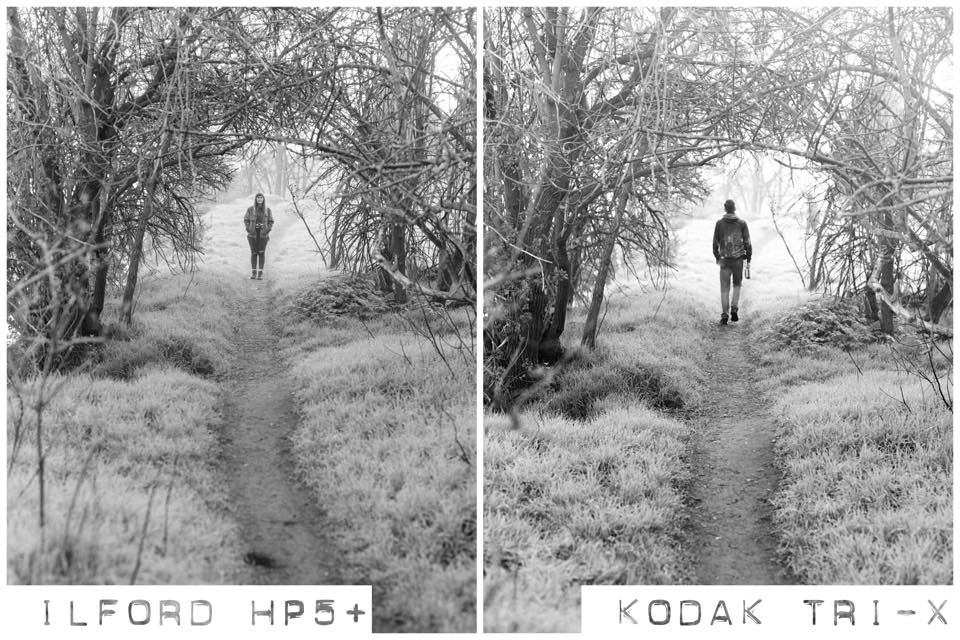 Medium format HP5 vs Tri-X