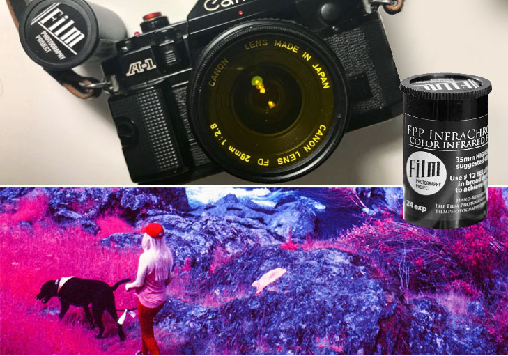 Infrared Film Photography - IR Film How To, Tips & Filters - The Darkroom