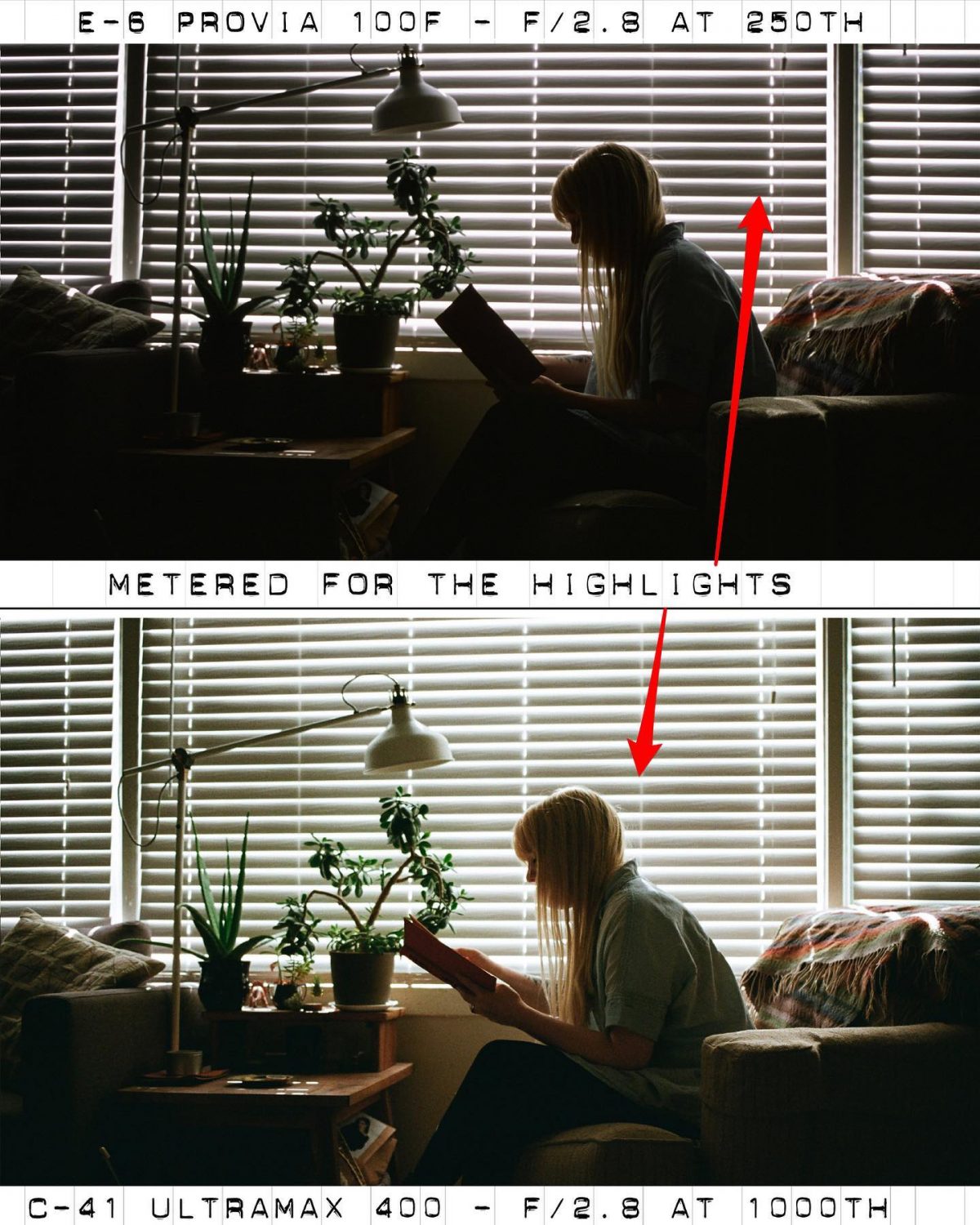 The Darkroom Photo Lab