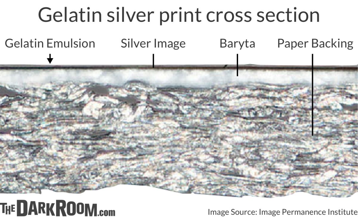 vintage silver gelatin print