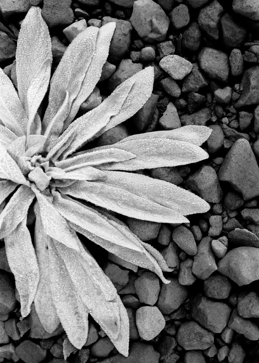 A Guide to color filter used with B&W Film - The Darkroom Photo Lab