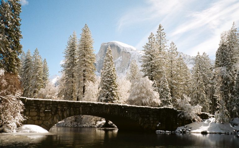 The Best 200 ISO Color Film in 2026! - The Darkroom Photo Lab