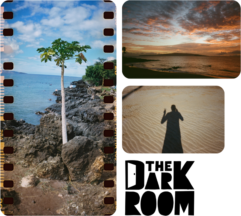 Professional film developing
