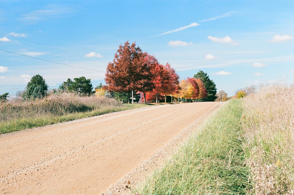Fall Colors in rural Michigan, Canon Ae-1 Program, 50mm f1.4, Kodak Ektar 100