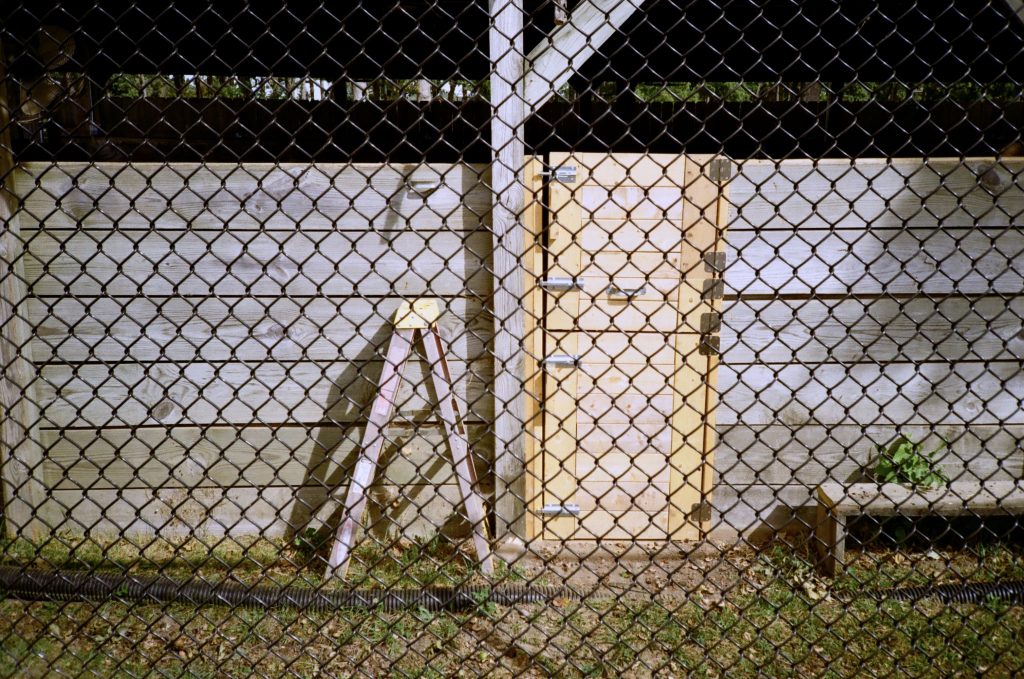 Fence, Door, and Ladder Nikon L35AF