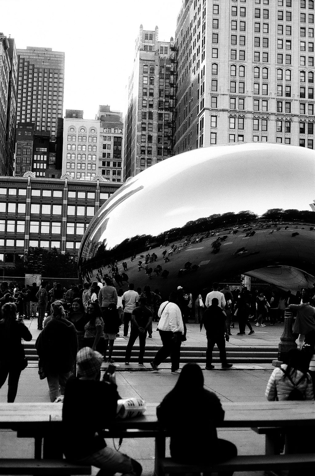 Cloud Gate, Chicago (Nikon FM2/Nikon 50mm F1.8 AI)
