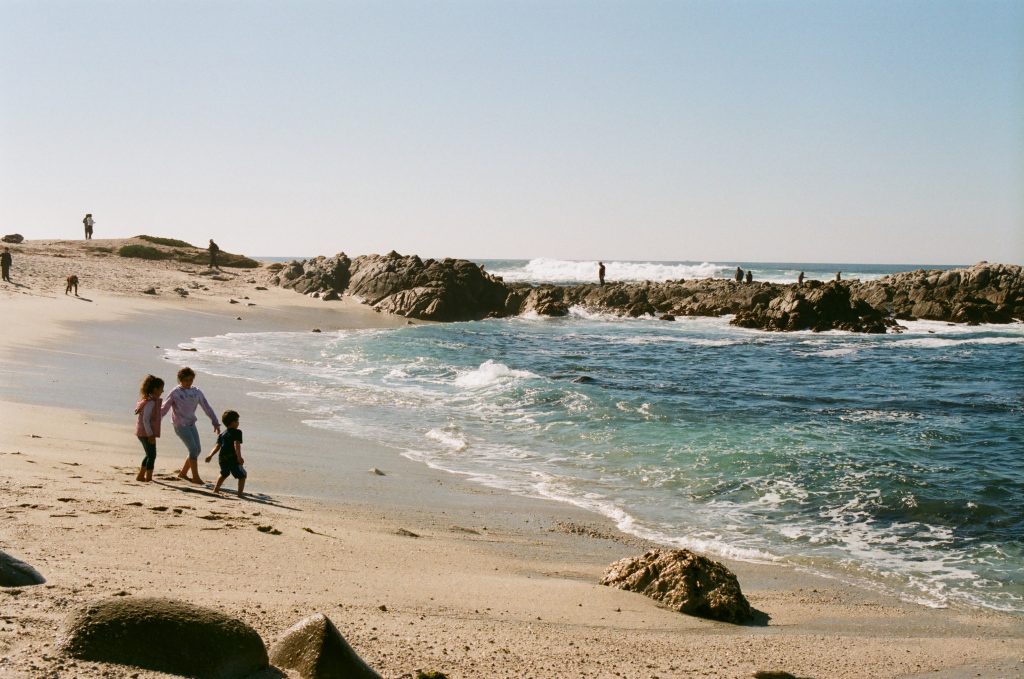 The water was too cold. Monterey, CA - Nikon F100