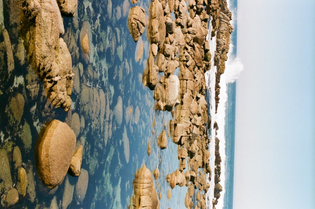 Monterey tide pools - Nikon F100