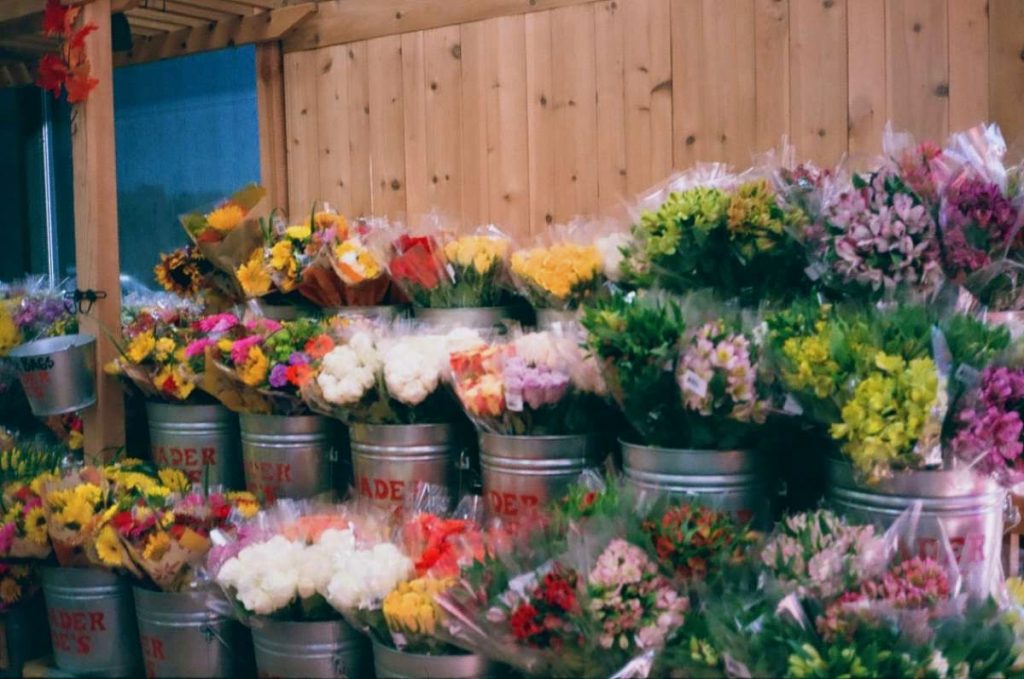 trader joe’s flowers; shot on a Mintola Auto Focus Tele
