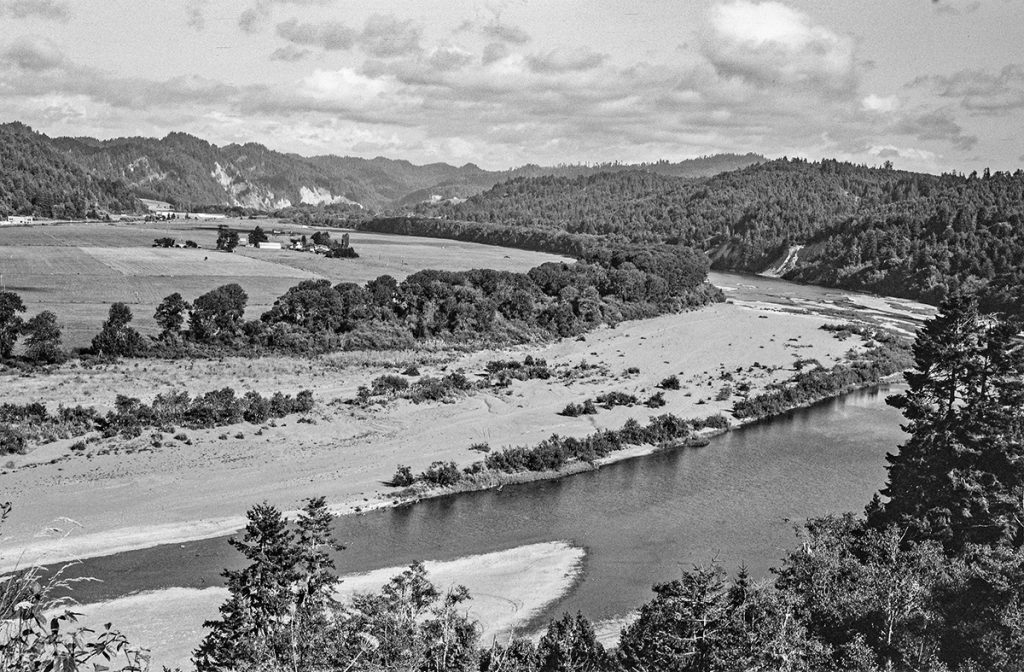 1934 Zeiss-Ikon Ikonta, yellow filter, f/11 @ 1/100 sec. Humboldt County, California