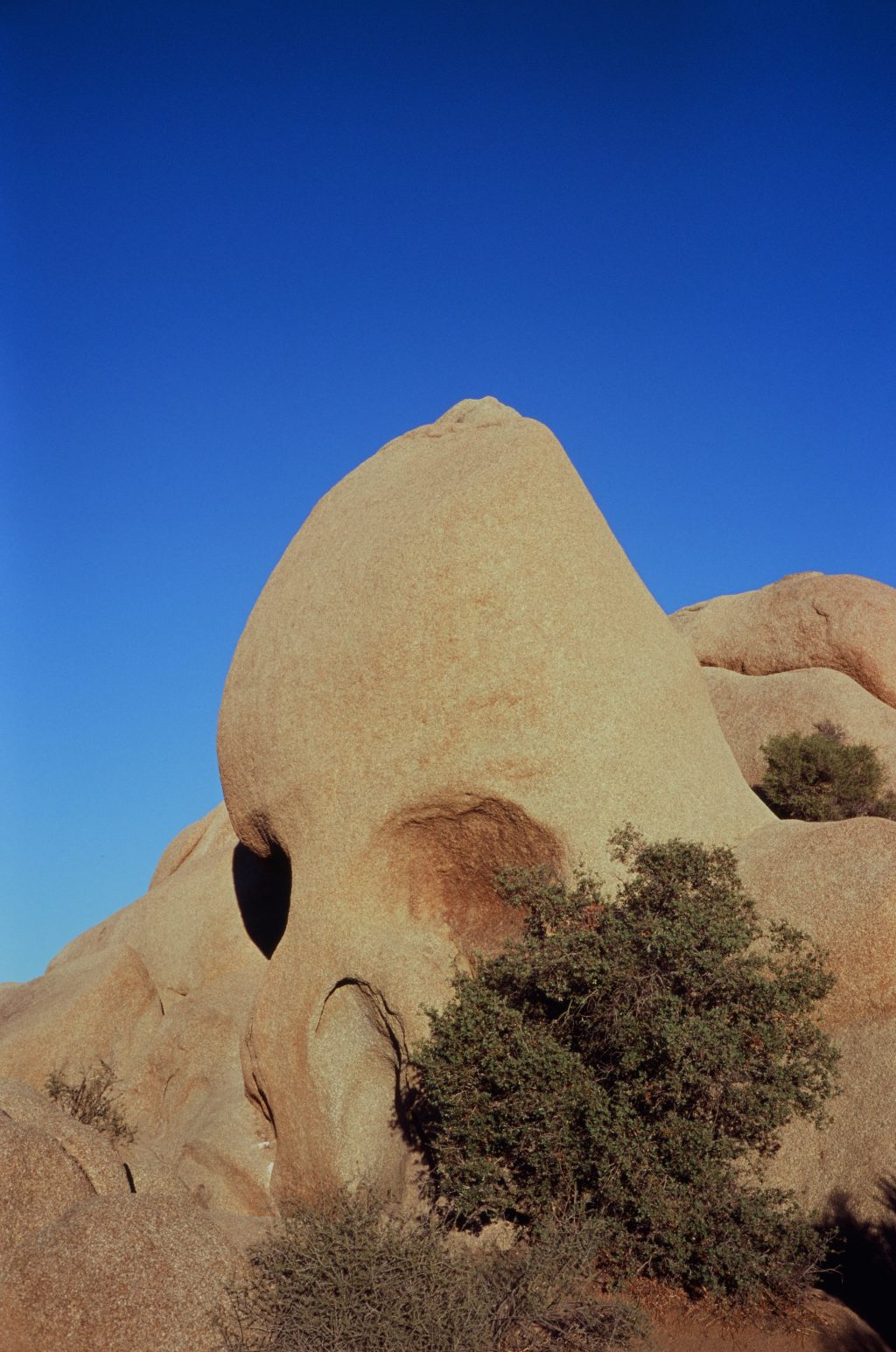 Fuji Velvia 100 Leica CL, paired with a 40mm Summicron Skull Rock - Joshua Tree National Park