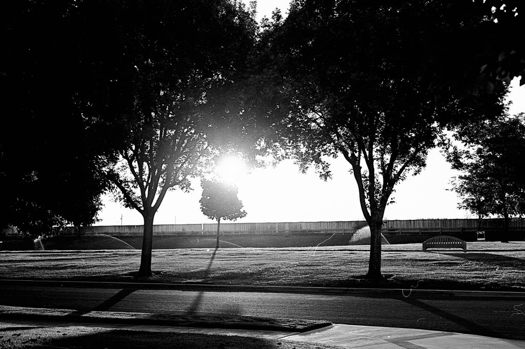 Sunrise / Leica M1, Canon 50 1.8